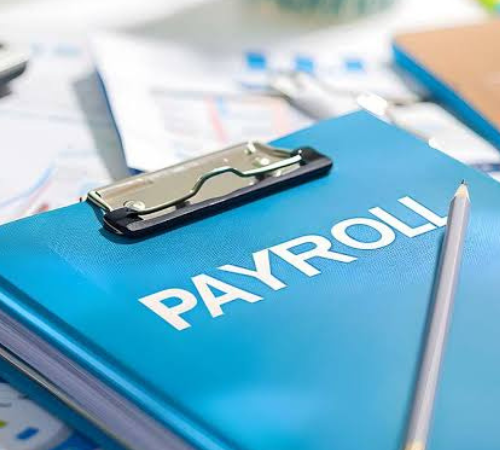 Payroll Audit